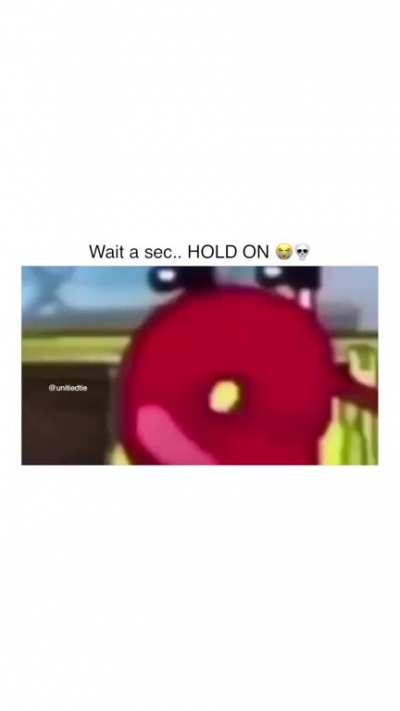 Invest in animation and sponges