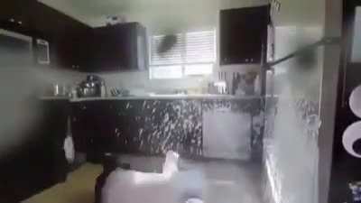 stahp it *explosion*