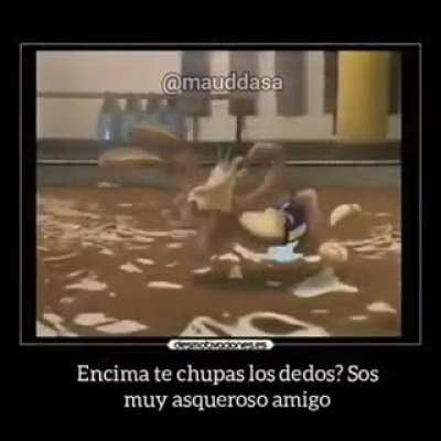 Noooo conejo ql (No es m&iacute;o)
