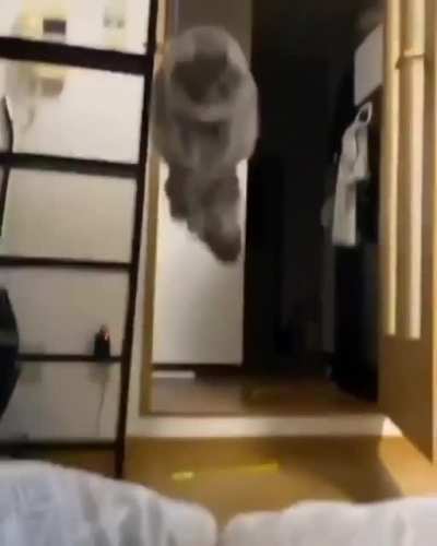 Here I come