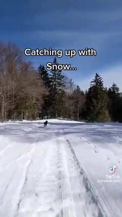 Most exciting race ever