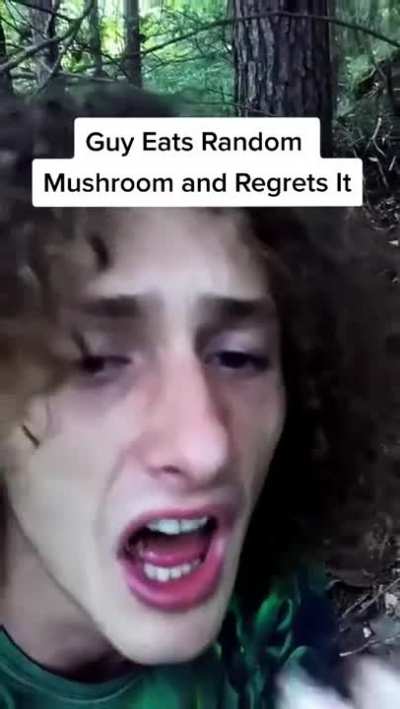 Eating Poisonous Mushrooms under a tree in a forest&hellip;