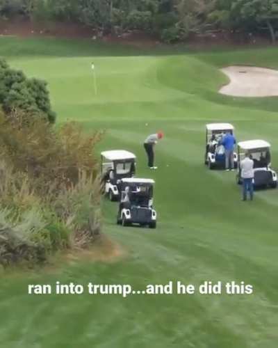 Just a stable genius playing golf.