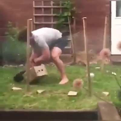 This is how easy to catch a rabbit 🐇