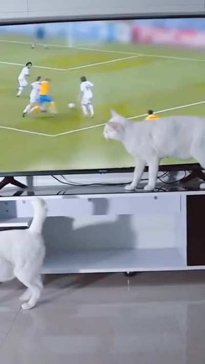 Hand of God