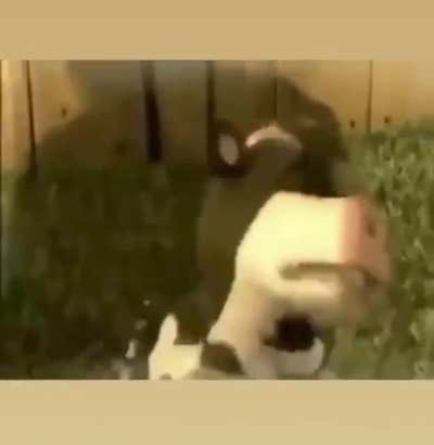 ㅤ