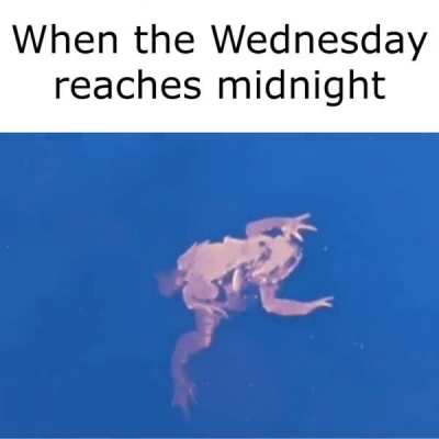 The end of the Wednesday be like