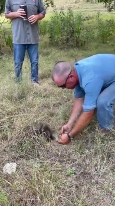 To pickup a Porcupine&hellip;