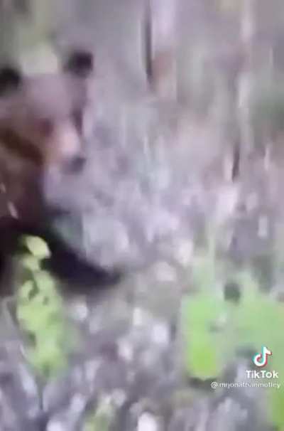 Spooked him