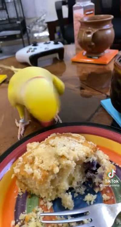 Just a tiny piece won&rsquo;t hurt anyone!