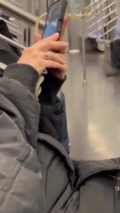 Spaghetti noodles