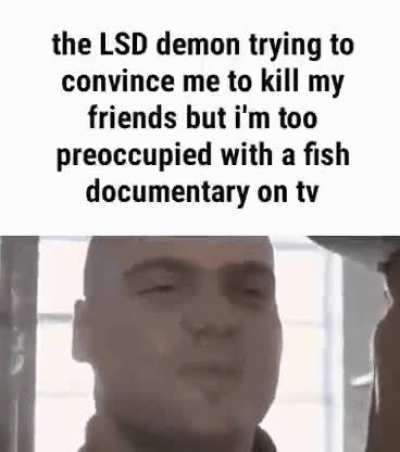 fishy fish mm