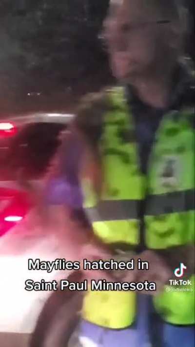 WTF?