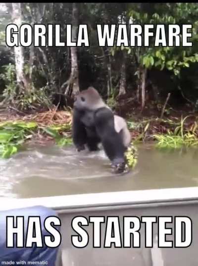 Based monke