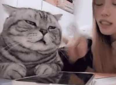 how it feels to read the 500th "I got banned, possible banwave!!" post