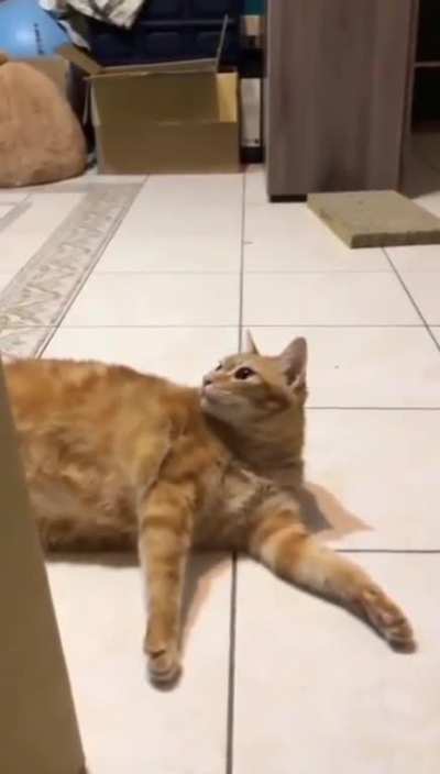 aaaaaa-
