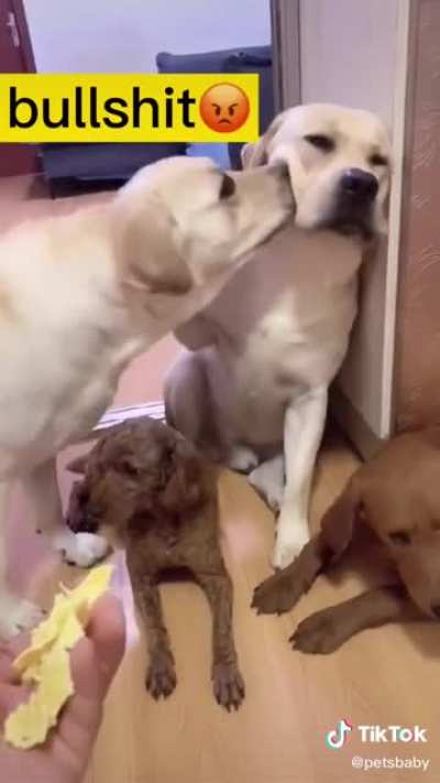 😂😂😂