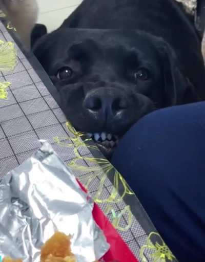 Every bite you take, I&rsquo;ll be watching you 👀
