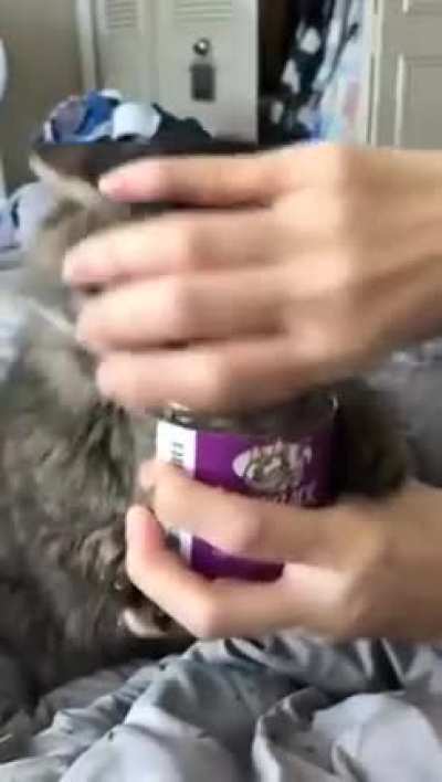 Sempre q eu lembro da hist&oacute;ria do lobinho com a p&ecirc;ra eu penso algo mais ou menos assim