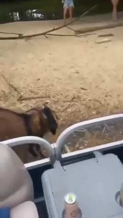 İ had to post this here