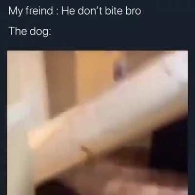 "He's just curious bro"