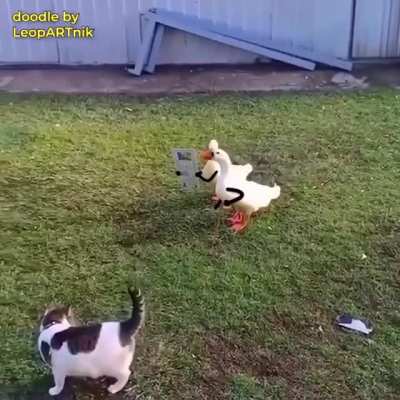 ¿?