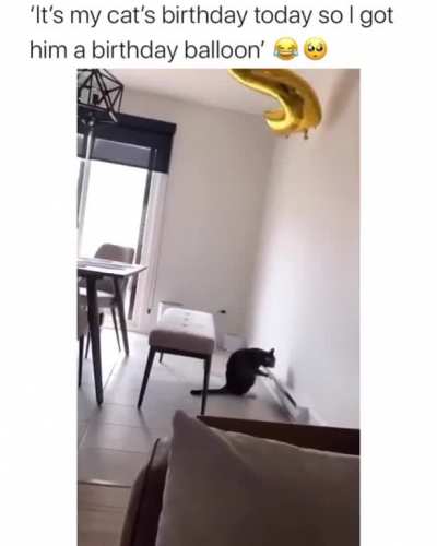 Awww.