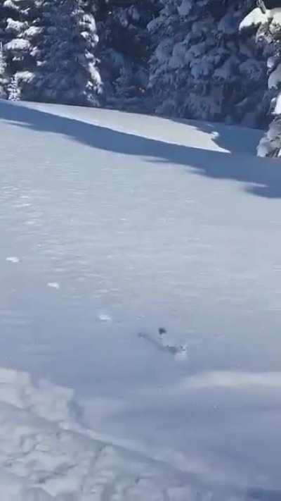 Mountain wunk