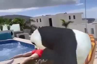 Blursed Kung Fu Panda