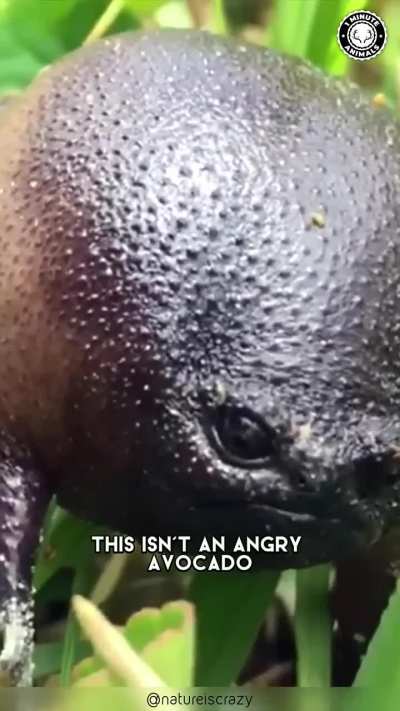 War it is