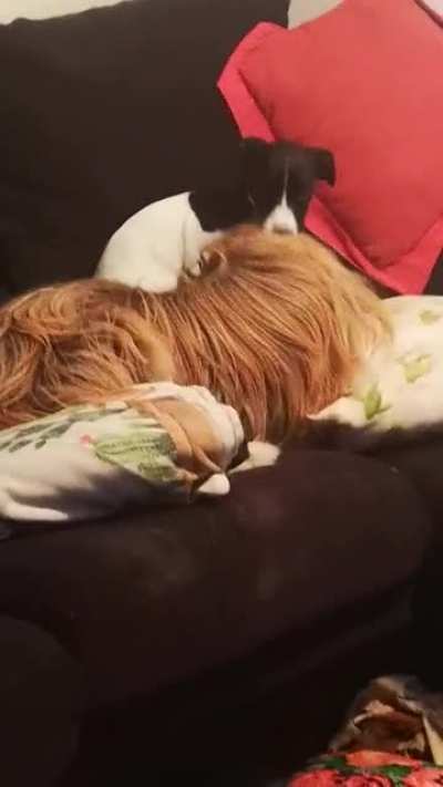 Wait for it...
