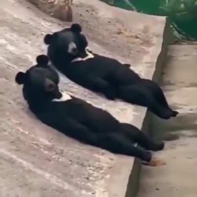 Oh hi, Sup bro!