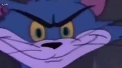 the tom
