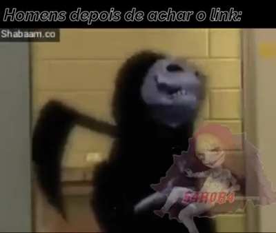 Finalmente o Link