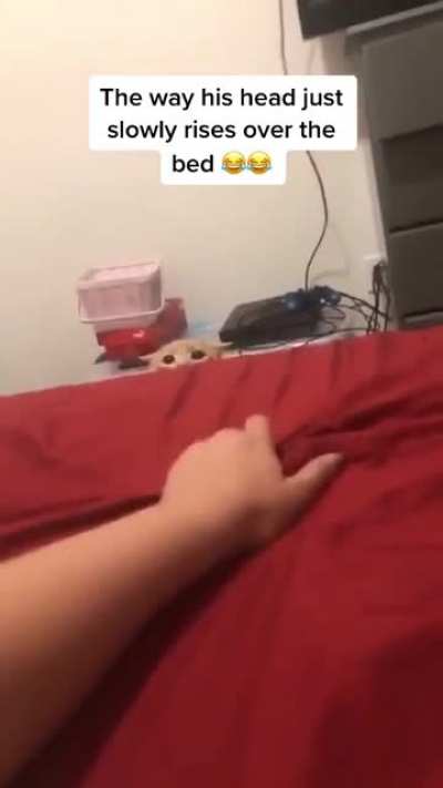 The way he sneaks