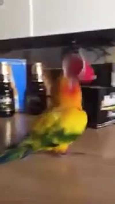 I suspect the alcohol played a role in this.