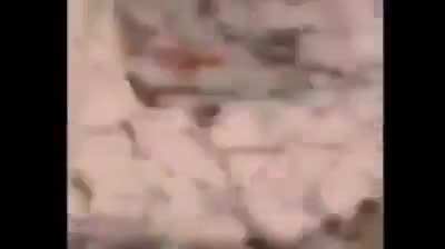 Dava para um filme (ningu&eacute;m teve grave ferimentos)