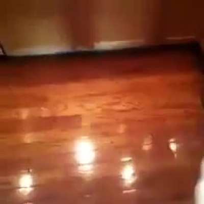 Outra op&ccedil;&atilde;o boa pra matar essa aranha seria queimar a casa