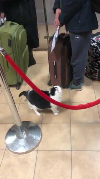 At passport control