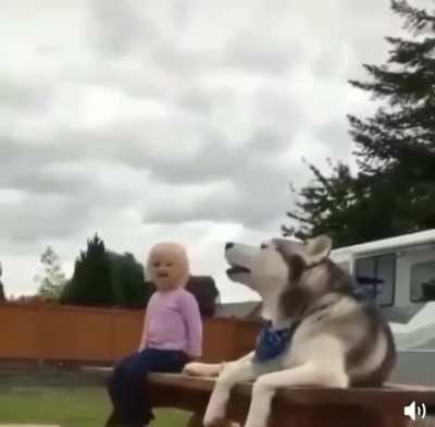 И ведь понимают друг друга -)