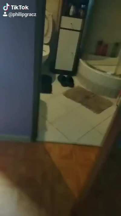 Its from my tik tok