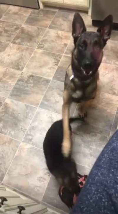 &ldquo;Don&rsquo;t ruin this for me kid.&rdquo;