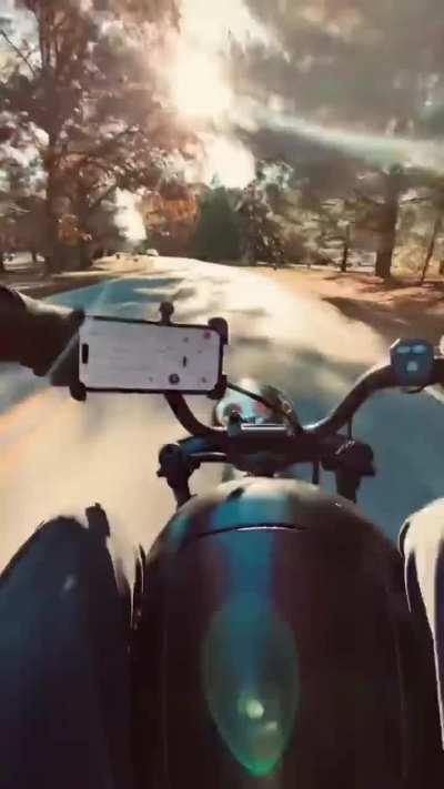 Hittin the Hog
