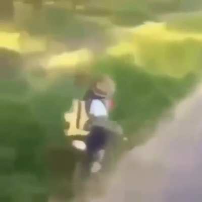Macaco Loli