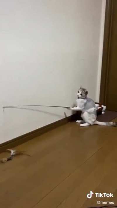 IQ 1000