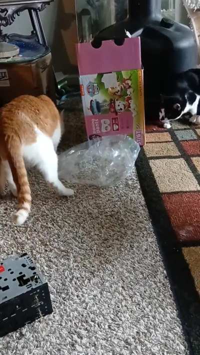 Sneaky taps,lol.
