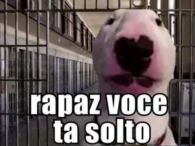 Meme aleatório