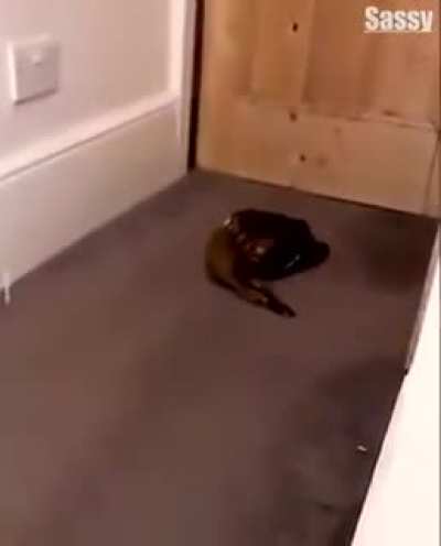 Rare footage of Jimmy &ldquo;Slippers&rdquo; Bianchi being interrogated over the disappearance of Anthony &ldquo;Tony Ducks&rdquo; Corallo
