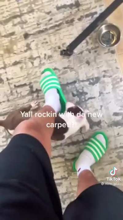 Nice carpet