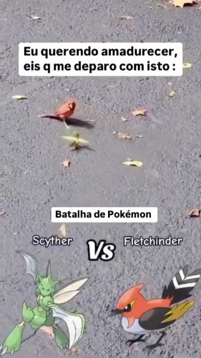 Eu_nvr